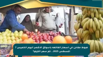 هبوط مفاجئ في أسعار الفاكهة بأسواق الأقصر اليوم الخميس 7 أغسطس 2025.. كم سعر الكيلو؟